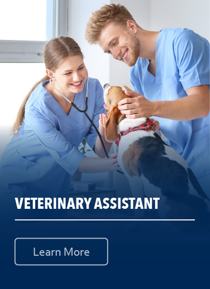 Veterinary Assistant; Learn more