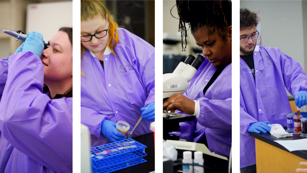 Central Georgia Technical College students train in a medical technology laboratory to develop hands-on skills. The images show students wearing lab coats and gloves while using lab equipment, including micropipettes and microscopes. Students practice collecting and transferring samples, preparing specimens for analysis, examining materials under magnification, and following laboratory procedures.
