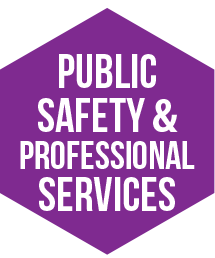 Public Safety and Professional Services