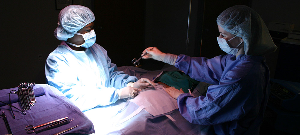 Surgical Technology Students